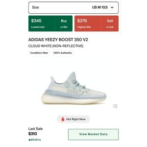 Adidas Yeezy 350 v2 Cloud White (Non-Reflective)